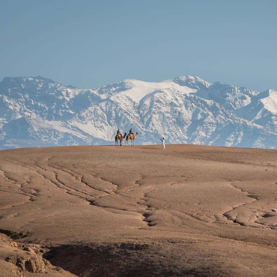Atlas Mountains and 3 Valleys & Waterfalls & Desert Agafay - Key points to know before booking