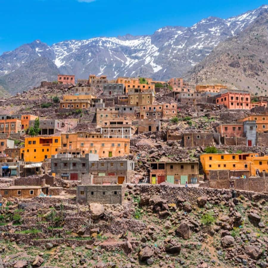 Atlas Mountains and 3 Valleys & Waterfalls & Desert Agafay - An $22 day with a surprisingly full menu