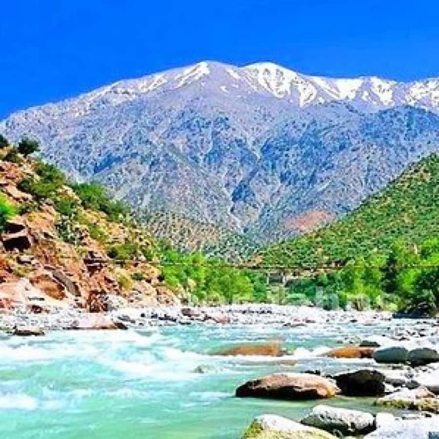 Atlas Mountains and 3 Valleys & Waterfalls & Desert Agafay - Tea in a traditional home adds real local contact