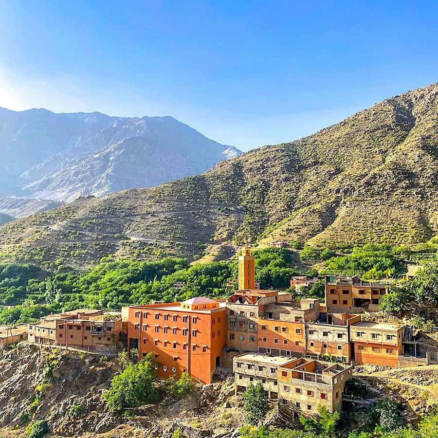 Atlas Mountains and 3 Valleys & Waterfalls & Desert Agafay - Agafay finishes the day with a camel ride
