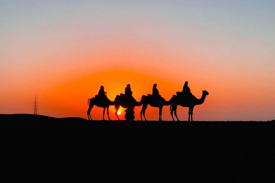 Atlas mountains and Berber villages & waterfall & camel ride - Key points at a glance