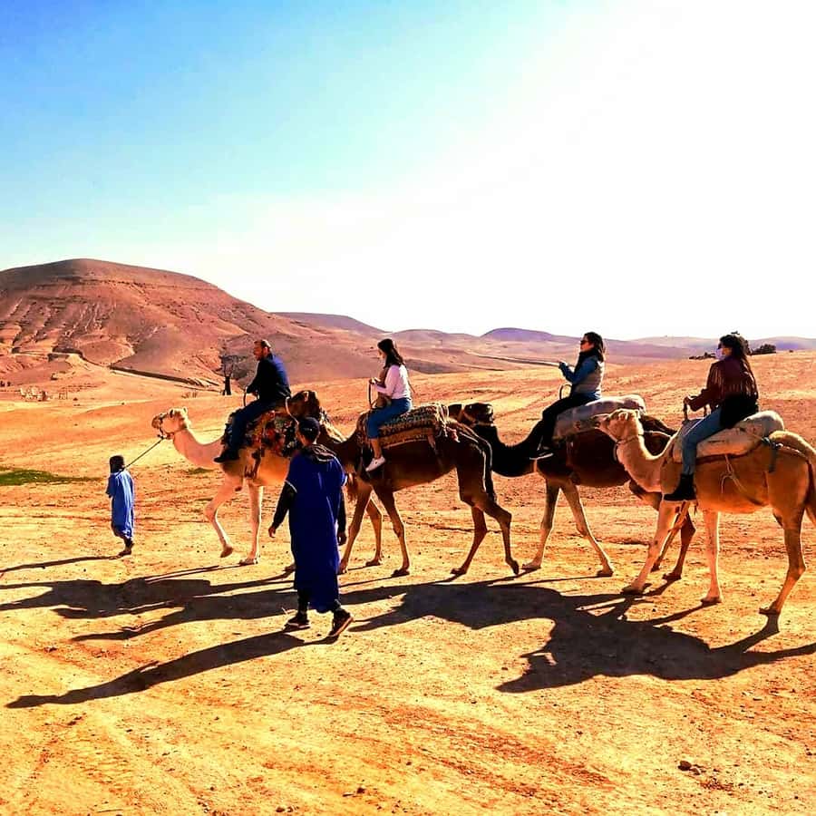 Atlas mountains and Berber villages & waterfall & camel ride - Why this $28 Marrakech day trip offers good value