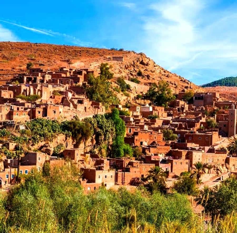 Atlas mountains and Berber villages & waterfall & camel ride - Mint tea and breakfast at a women’s cooperative