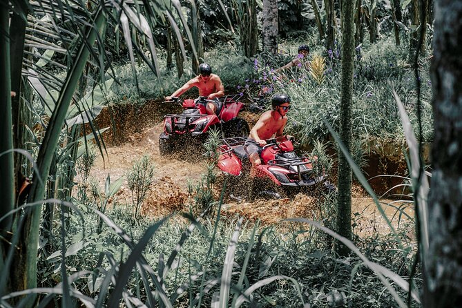 ATV Quad Bike Bali with Waterfall Gorilla Cave and Lunch - Who should book this Ubud ATV adventure?