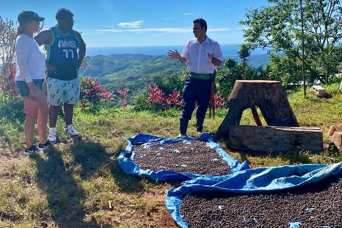 ATV Waterfall & Organic Coffee Farm with Lunch - Fresh Juice, Coffee, and Lunch With a View