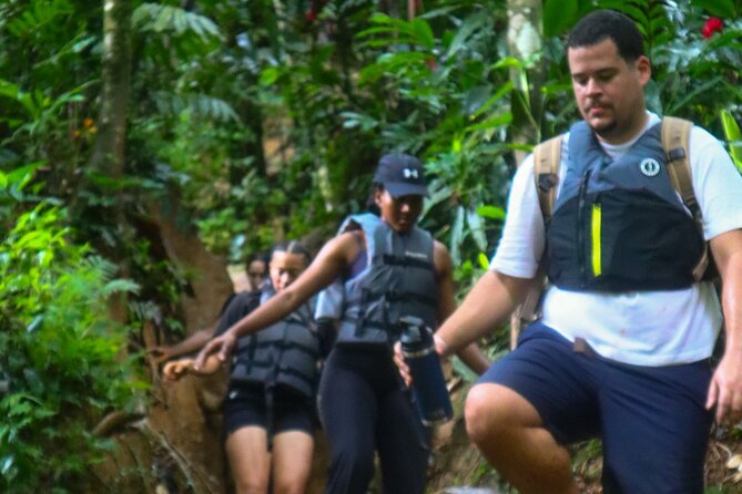 Authentic El Yunque Rainforest Adventure — Waterfalls & Slides - River pools, waterfalls, and natural rock slides