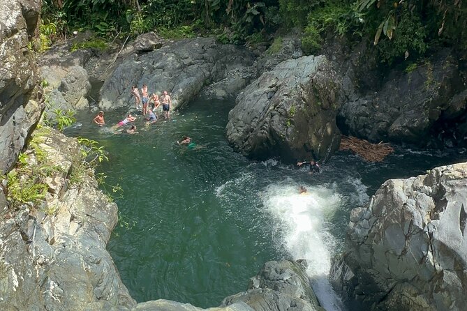 Authentic El Yunque Rainforest Adventure — Waterfalls & Slides - Is $35.99 a good price?