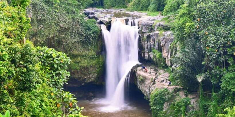 Bali: ATV Gorilla Cave, Ubud Monkey Forest, & Waterfall Tour - Drivers can make or break the day