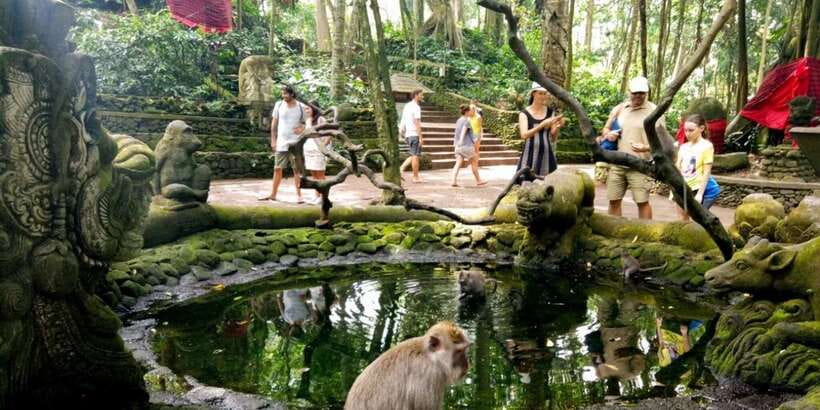 Bali: ATV Gorilla Cave, Ubud Monkey Forest, & Waterfall Tour - Who will enjoy this tour most