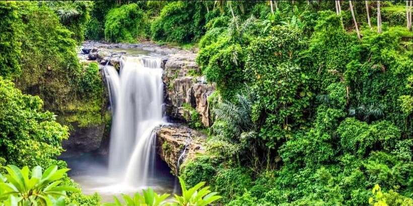 Bali: Bali Swing, Monkey Forest, Rice Terrace, Waterfall - Tegenungan Waterfall is the day’s final outdoor stop