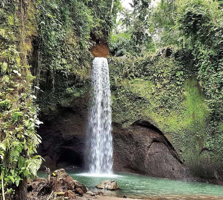 Bali: Best of Ubud Waterfalls Tour - Booking, cancellation, and practical timing