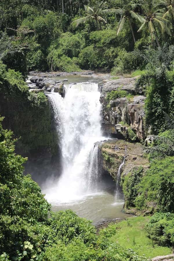 Bali: Best of Ubud Waterfalls Tour - The driver can make or break the day