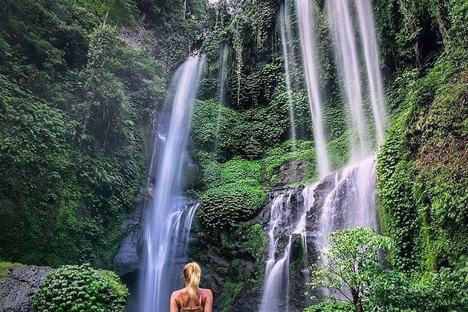 Bali Best Waterfalls Tour : Sekumpul and Banyumala - Why these two northern waterfalls make a good pair