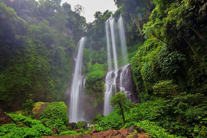 Bali Best Waterfalls Tour : Sekumpul and Banyumala - A cold swim at Banyumala Twin Waterfalls