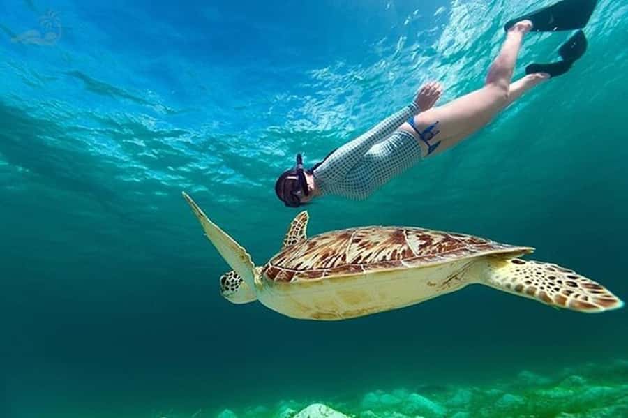 Bali: Blue Lagoon Snorkel, Kanto Lampo & Tibumana Waterfalls - Lunch between coast and waterfalls