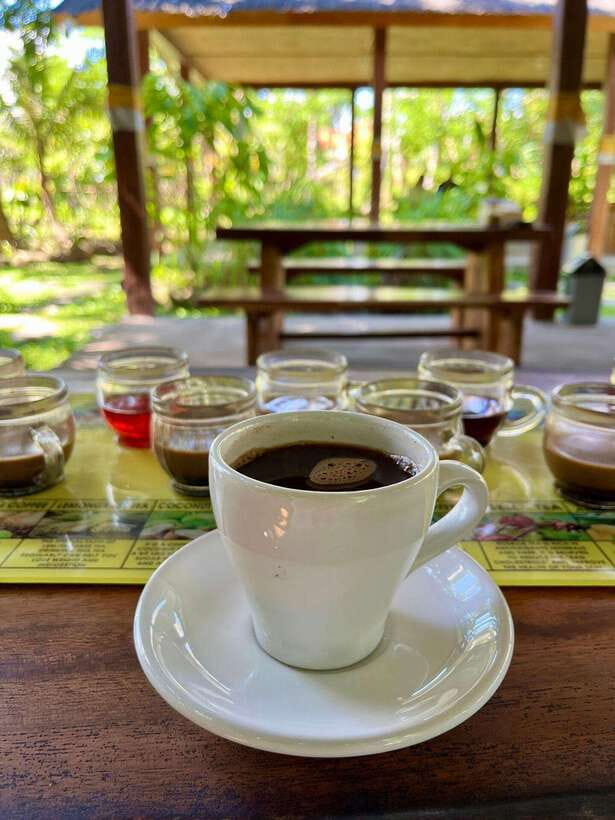 Bali: Blue Lagoon Snorkeling, Waterfall, and Plantation - What this Bali day trip actually offers