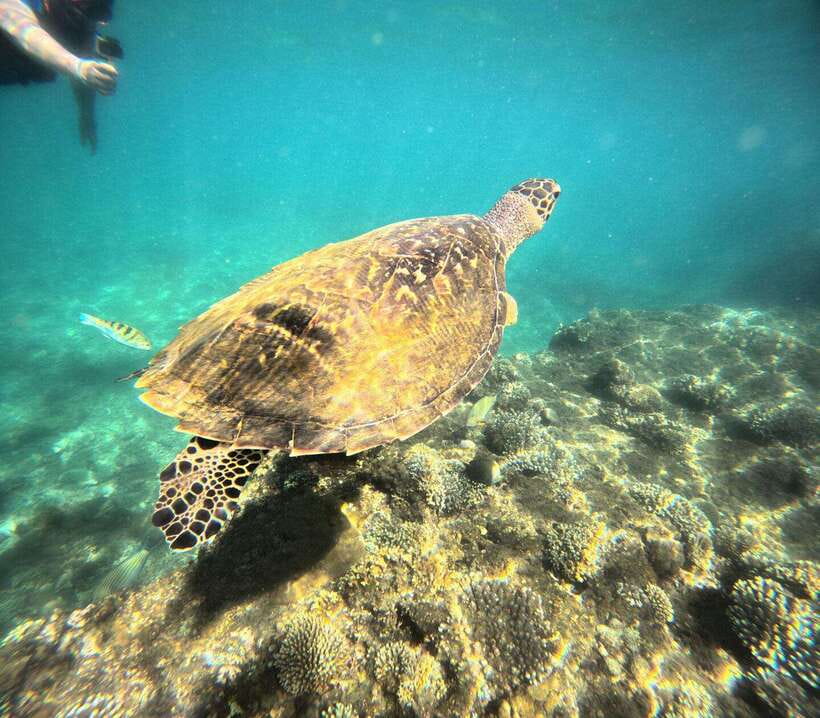 Bali: Blue Lagoon Snorkeling, Waterfall, and Plantation - Boarding the Balinese boat