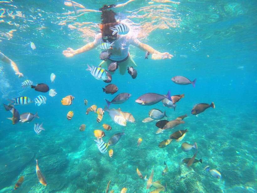 Bali: Blue Lagoon Snorkeling & Waterfall Tour - What the guides add to the day