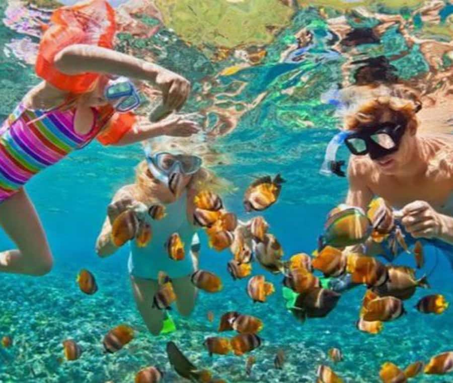 Bali: Blue Lagoon Snorkeling & Waterfall Tour with Lunch - Practical tips before you go