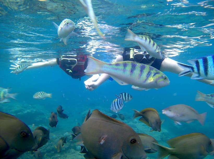 Bali: Blue Lagoon Snorkeling & Waterfall Tour - Morning pickup and the first ride