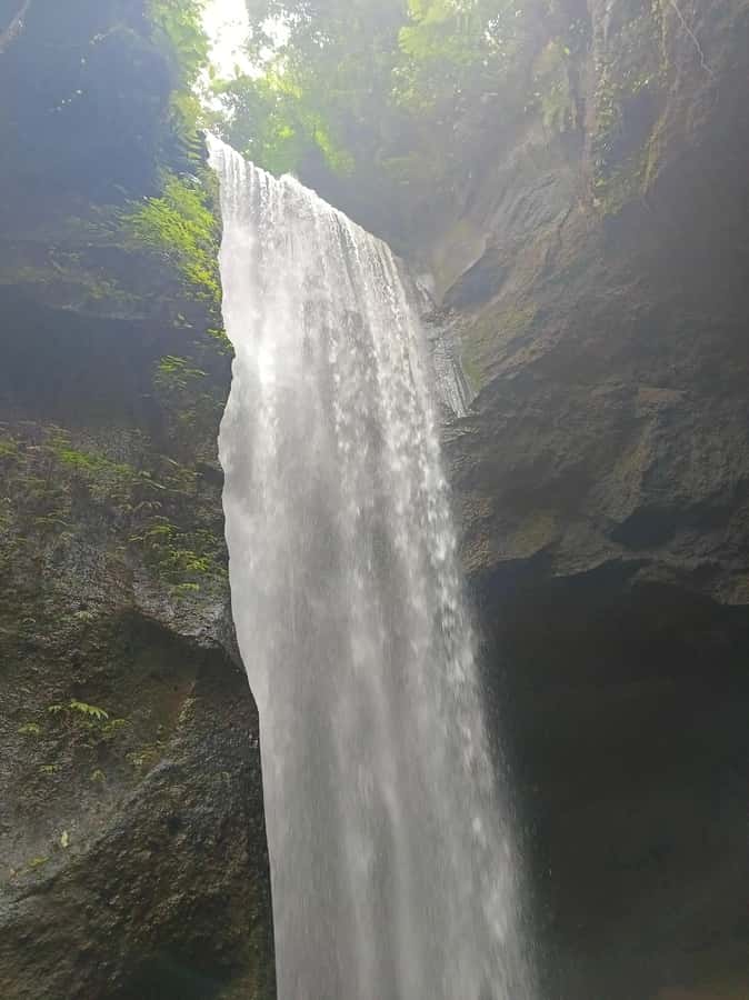 Bali : Day Trip to Besakih Temple & 2 Hidden Waterfalls - Why this eastern Bali day trip works