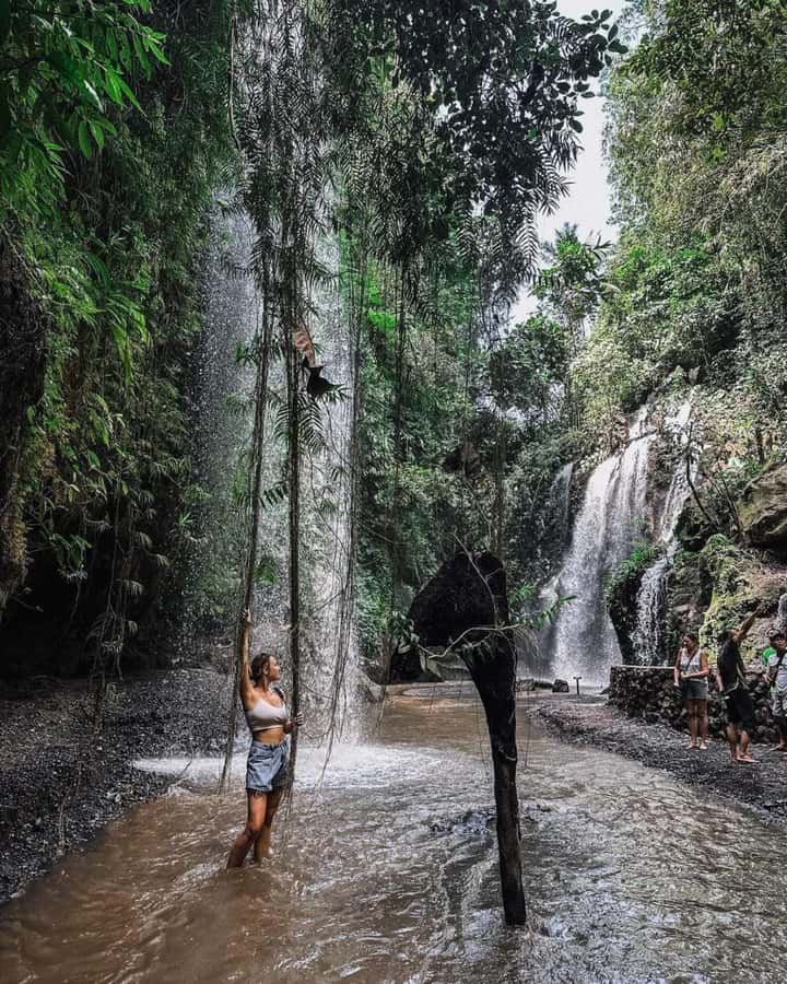 Bali : Day Trip to Besakih Temple & 2 Hidden Waterfalls - Who will enjoy this day most