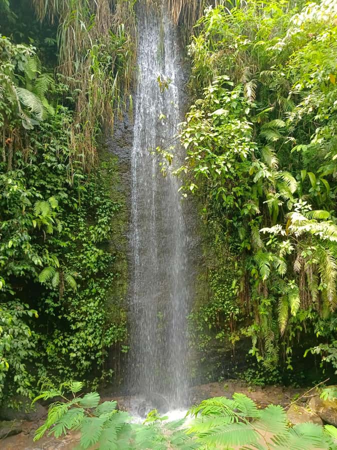 Bali : Day Trip to Besakih Temple & 2 Hidden Waterfalls - The early pickup and the road toward Mount Agung