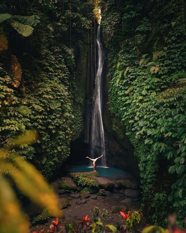 Bali: Discover Jungle Waterfalls and Rice Terraces - Key points to know before booking