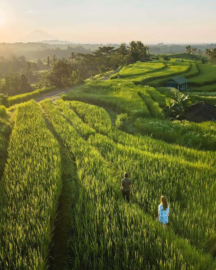 Bali: Discover Jungle Waterfalls and Rice Terraces - Why this waterfall day works well
