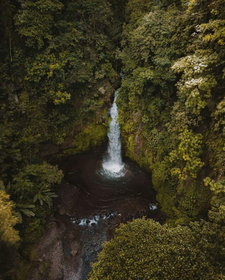 Bali: Discover Jungle Waterfalls and Rice Terraces - Nungnung Waterfall and its heavy curtain of water