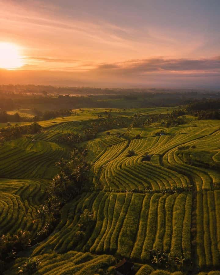 Bali: Discover Jungle Waterfalls and Rice Terraces - Goa Gong’s cave-like water and quiet mood