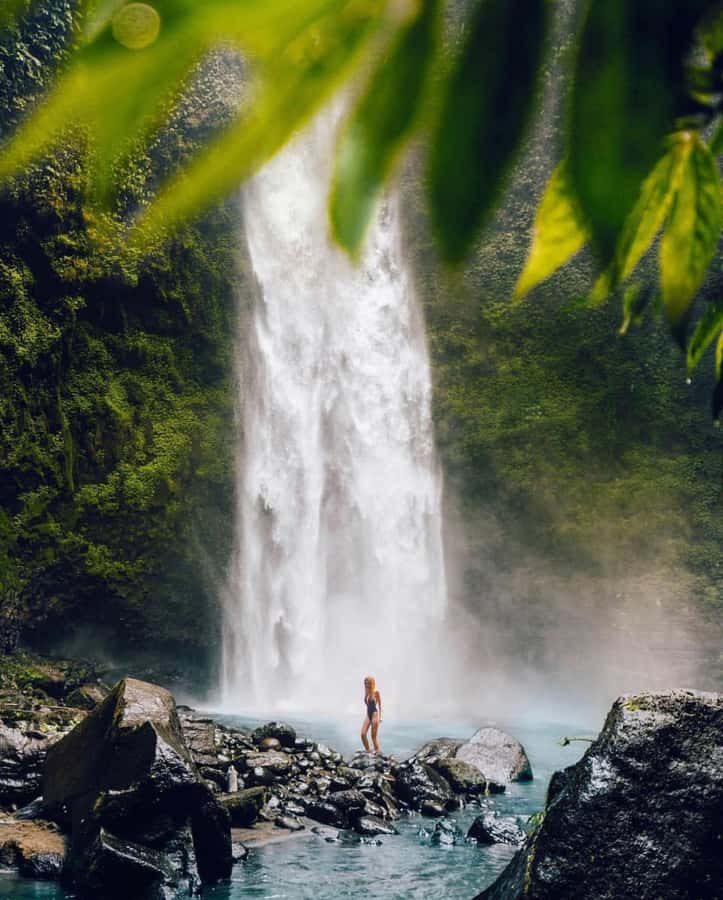 Bali: Discover Jungle Waterfalls and Rice Terraces - Leke Leke and the small-scale beauty of the jungle