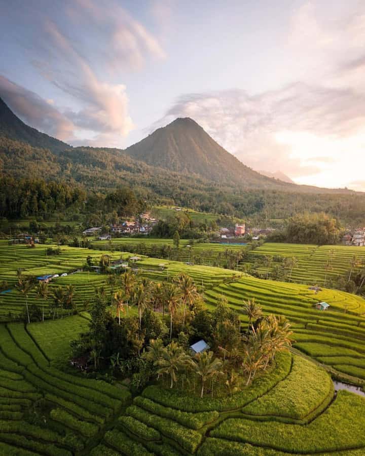 Bali: Discover Jungle Waterfalls and Rice Terraces - Jatiluwih rice terraces after the jungle