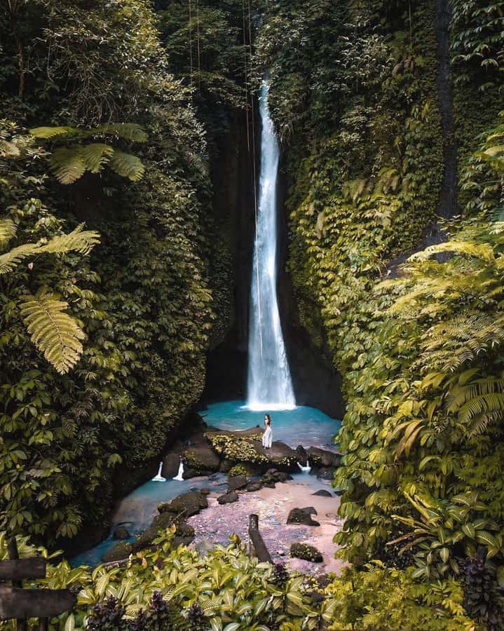 Bali: Discover Jungle Waterfalls and Rice Terraces - Morning pickup and the long road north