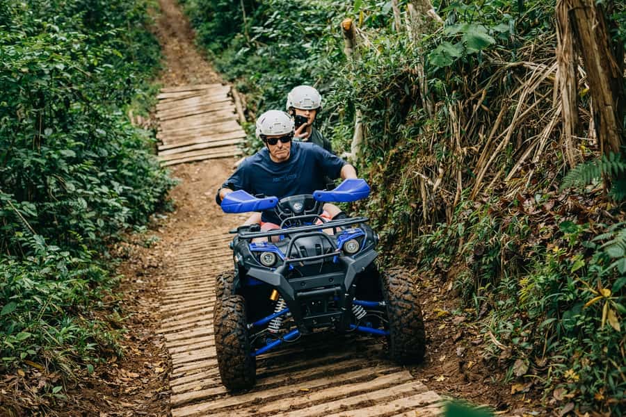Bali: Dolphin Swimming Tour with ATV Quad Bike & Waterfall - Lovina dolphins and the realities of the sea