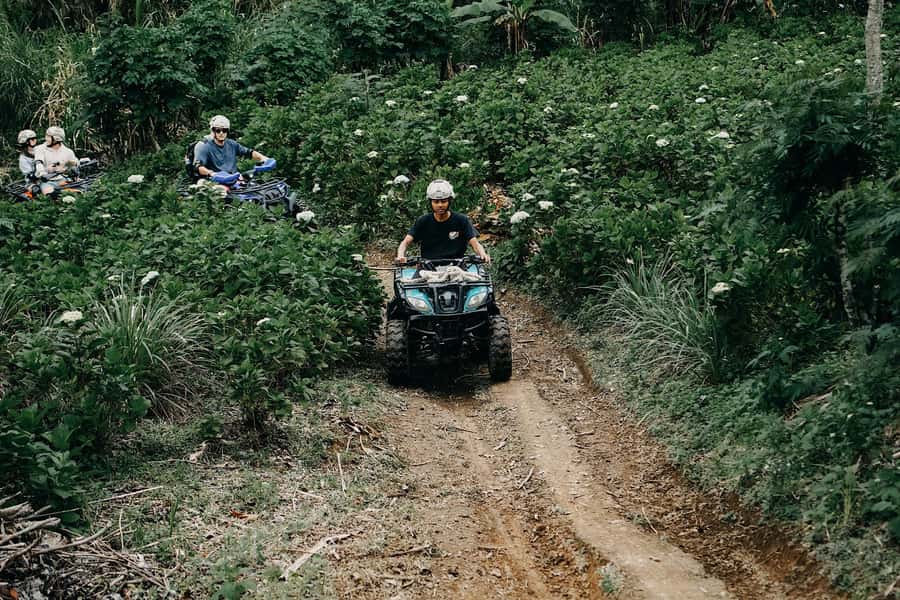 Bali: Dolphin Swimming Tour with ATV Quad Bike & Waterfall - Hydrangeas, coffee, and the mountain pause