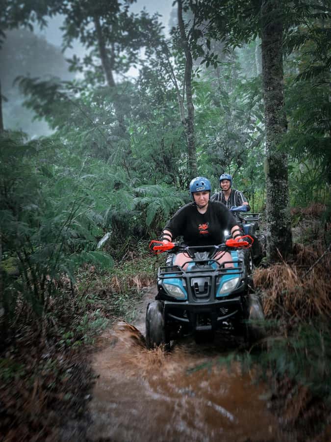 Bali: Dolphin Swimming Tour with ATV Quad Bike & Waterfall - Banyumala Twin Waterfall and the final swim