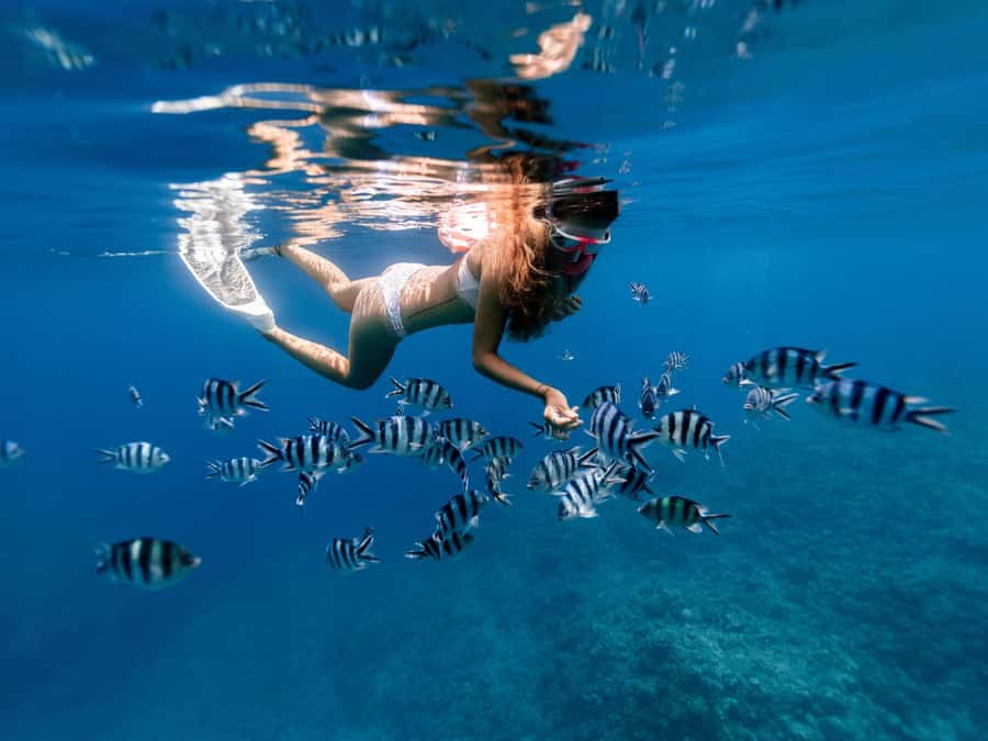 Bali: East Bali Hidden Gems. Exotic Beaches & Waterfalls. - What This East Bali Day Tour Actually Feels Like