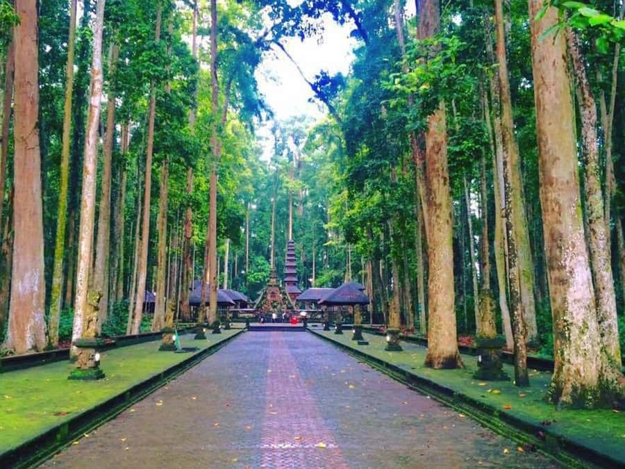 Bali: Full-Day Tour of Nungnung Waterfall, Tanah Lot Tample - Nungnung Waterfall and the steep way down