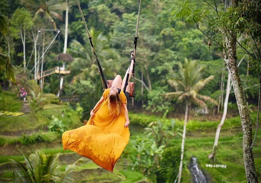 Bali: Griya Taman Beji Waterfall with Optional Ubud Tours - Ubud Market and the jungle swing option