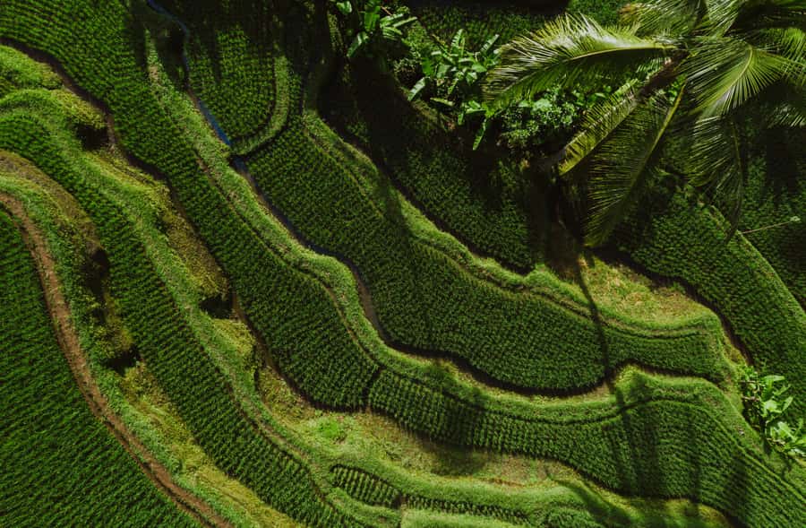 Bali: Griya Taman Beji Waterfall with Optional Ubud Tours - Tegenungan Waterfall and optional adventure extras