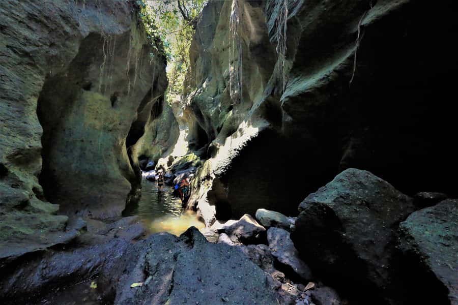 Bali: Hidden Canyon, Waterfall & Temples Small Group Tour - Goa Gajah, the Elephant Cave with roots and carved stone