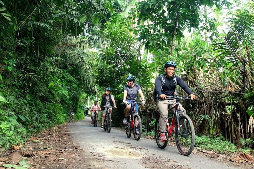 Bali: Kintamani Downhill Bike Tour, Jungle and Waterfalls - Key Points Before You Book