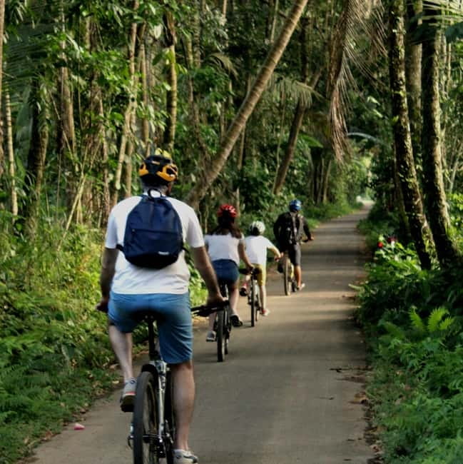Bali: Kintamani Downhill Bike Tour, Jungle and Waterfalls - From Ubud to the High Slopes of Kintamani