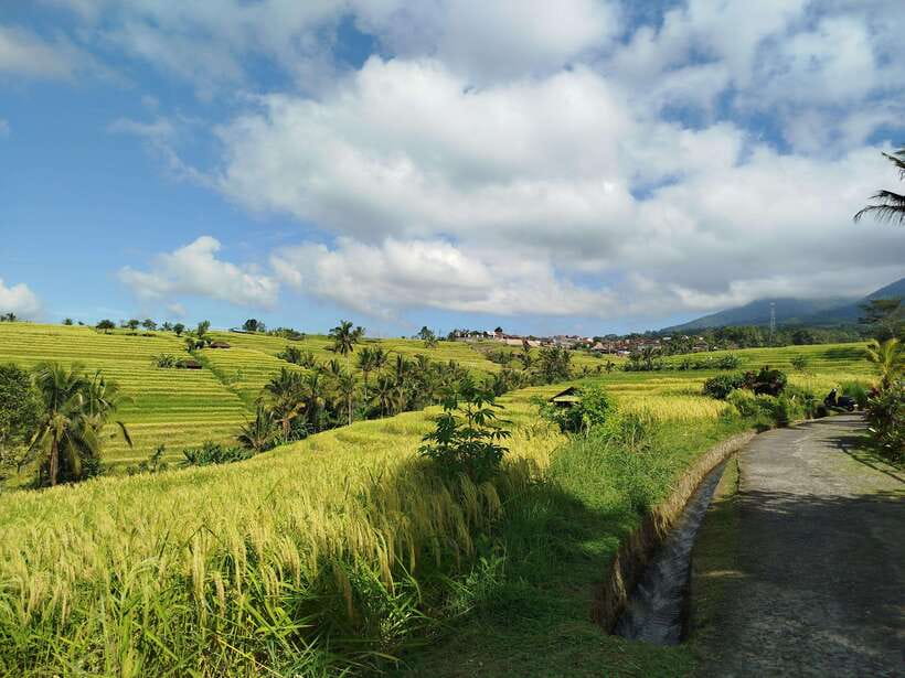 Bali: Lake Temple, Jatiluwih Rice Terrace & Waterfall Tour - The Twin-Lake Viewpoint Over Buyan and Tamblingan