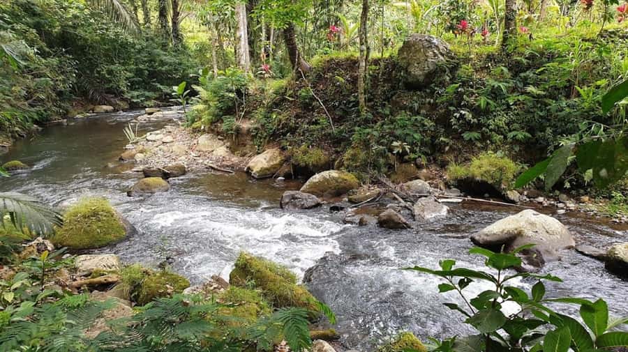 Bali: Leke Leke, Munduk, & Banyumala Waterfalls Private Tour - Banyumala Twin Waterfalls is the best swim opportunity