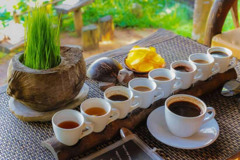 Bali: Lempuyang Temple, Tirta Gangga, and Temesi Waterfall … - Coffee plantation tasting: pleasant, flexible, and not just coffee