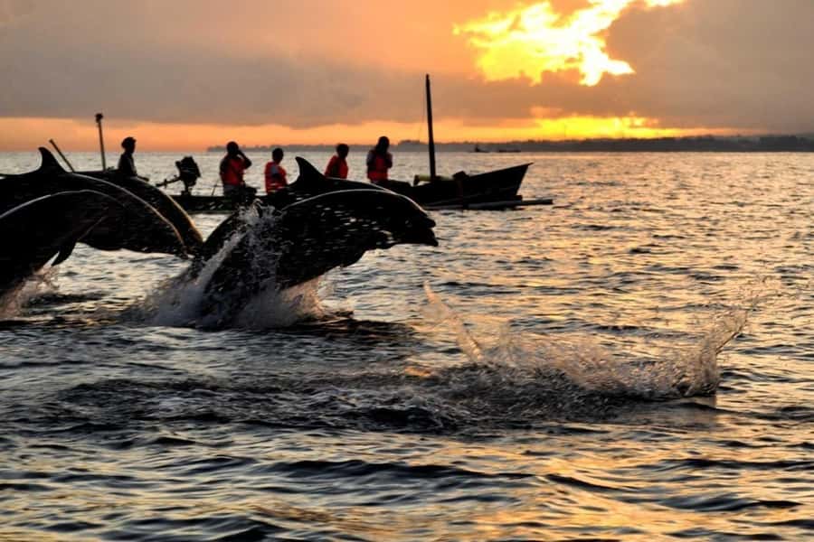 Bali/Lovina: Dolphin Snorkeling, Swimming & Waterfall Tour - Key points to know before booking