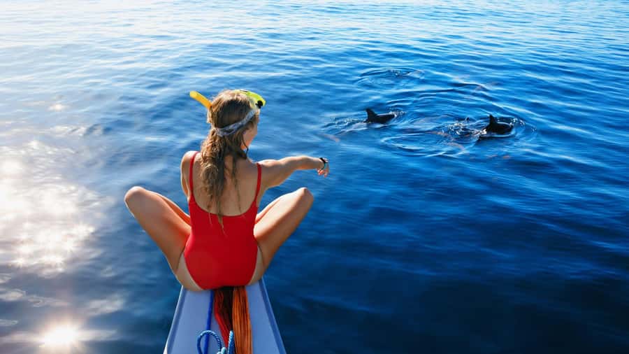 Bali/Lovina: Dolphin Snorkeling, Swimming & Waterfall Tour - Dolphin watching and the ethics question