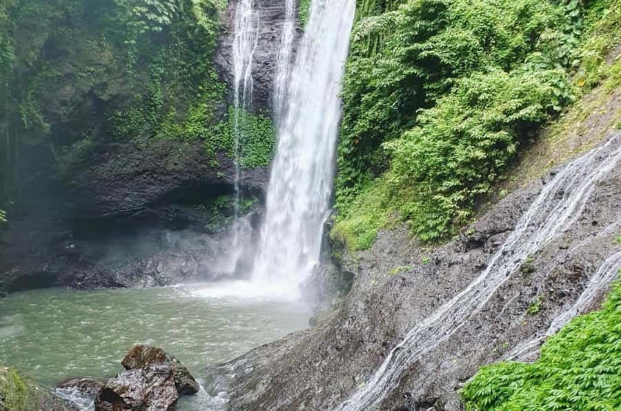 Bali/Lovina: Dolphin Snorkeling, Swimming & Waterfall Tour - The wooden plank activity